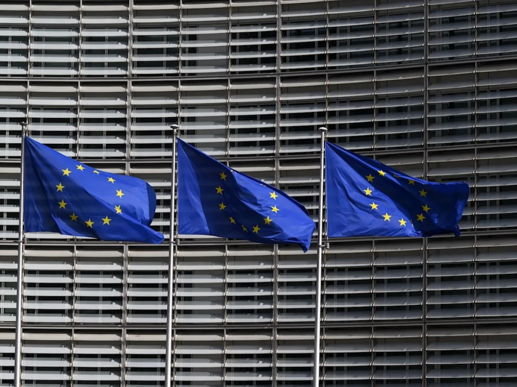 EU Authorized Representative concept with European flag